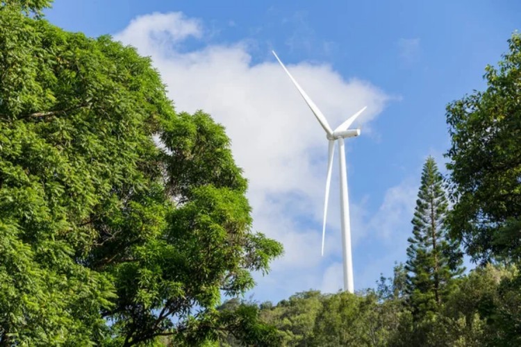 最高裁判所は、ハワイの気候変動訴訟が前進することを許可しています 最高裁判所は、ハワイの気候変動訴訟が前進することを許可しています