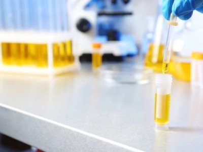 低温変圧器油、太陽光発電用変圧器油、東南アジアへの変圧器油輸出 