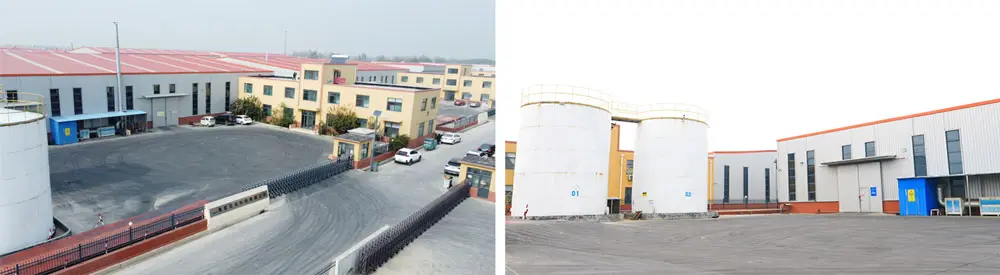 회사 소개 회사 소개